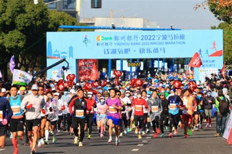 登录器 华体会体育
